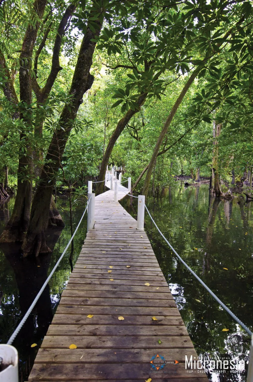 Micronesia Kosrae Hiking