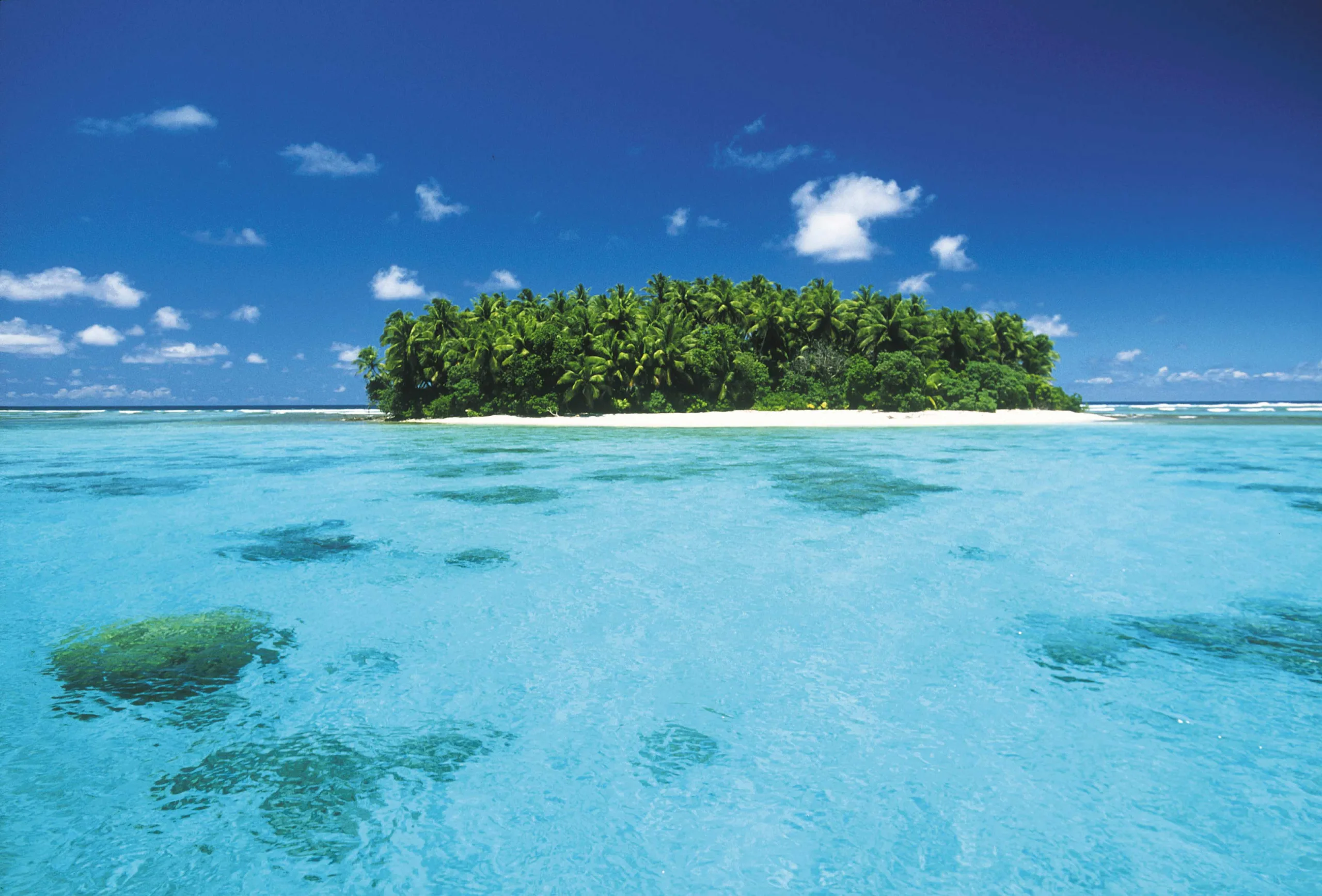 Micronesia Marshall Islands Diving & Snorkelling