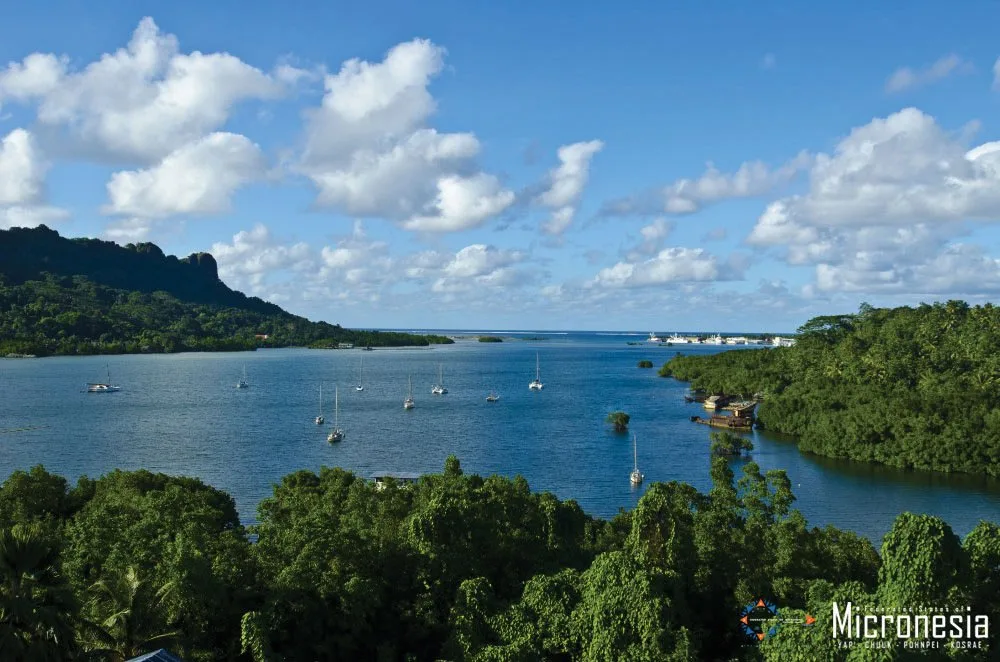 Pohnpei Surf Club