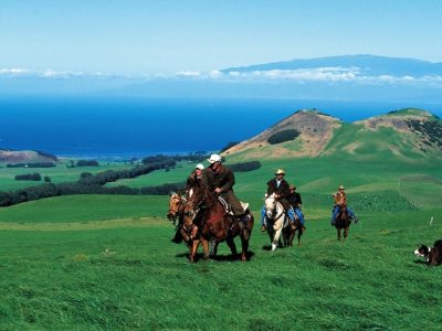 Horseback riding, Kohala