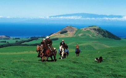 Horseback riding, Kohala