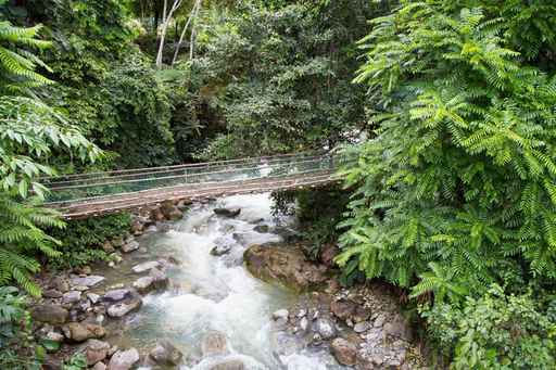 Poring Hot Spring, Sabah, Borneo Malaysia