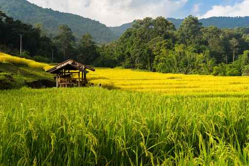 Exploring Chiang Mai