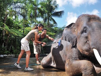Asia Bali Indonesia Ubud elephantsafaripark 003