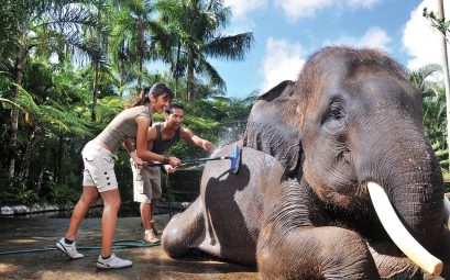 Asia Bali Indonesia Ubud elephantsafaripark 003