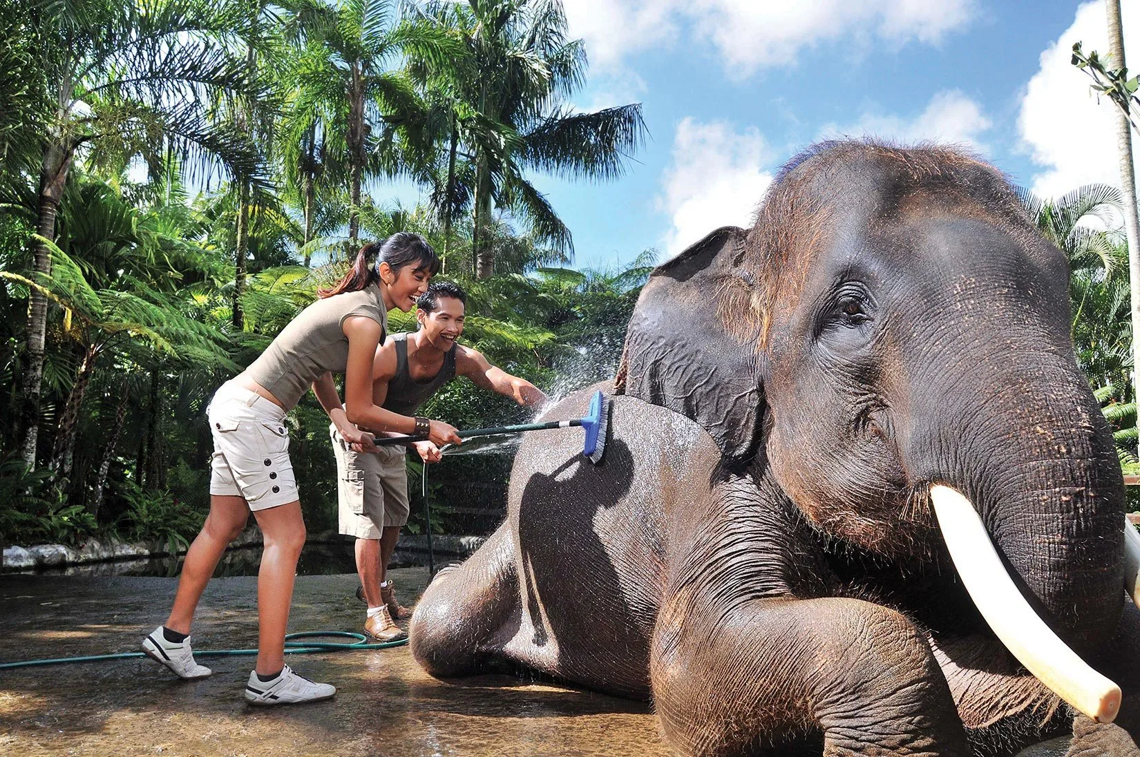 Asia Bali Indonesia Ubud elephantsafaripark 003