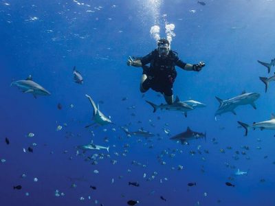 micronesia yap manta ray bay resort diving