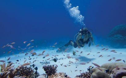 micronesia kosrae kosrae village diving