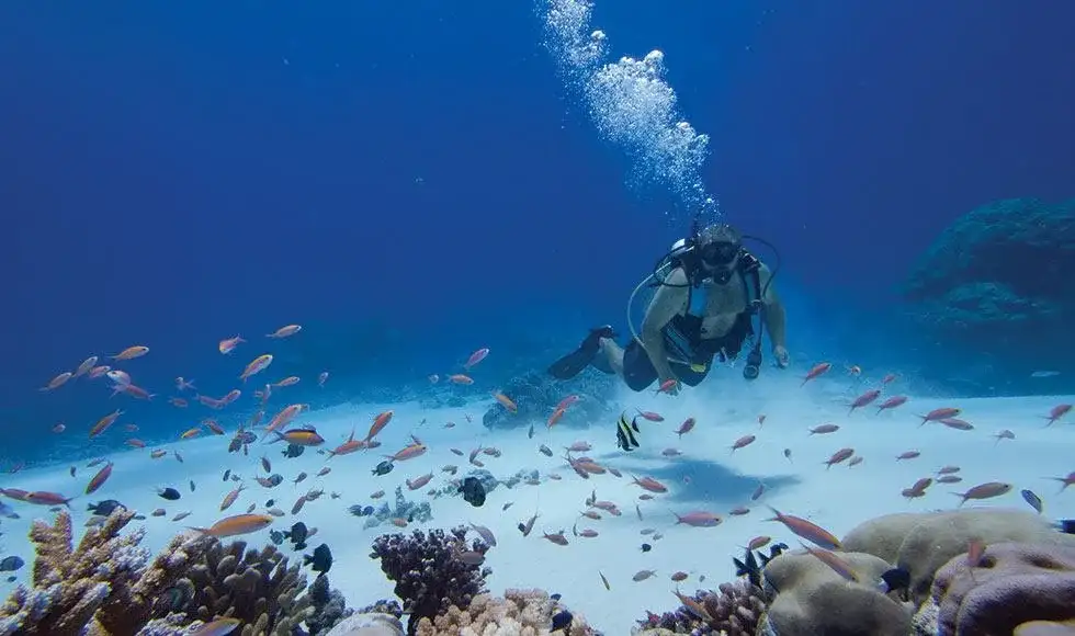 micronesia kosrae kosrae village diving