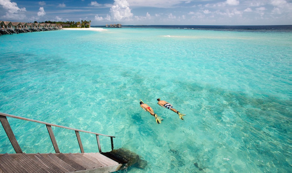 maldives loama resort maldives snorkeling