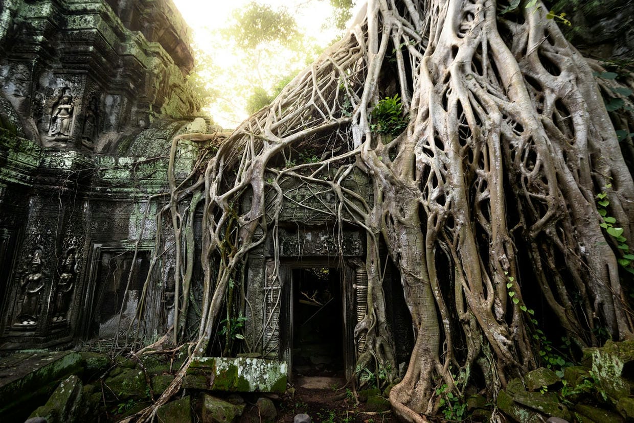 Ta Prohm Temple