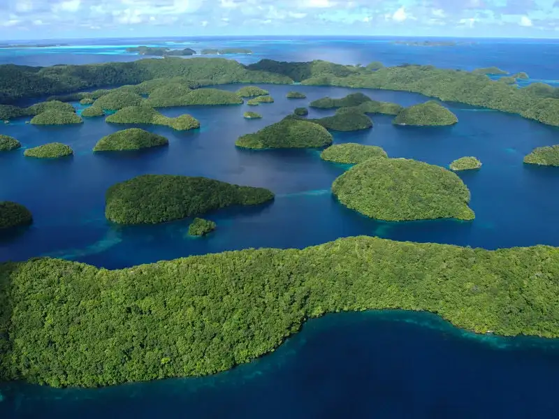 Palau’s Pledge To Protect The World’s Oceans