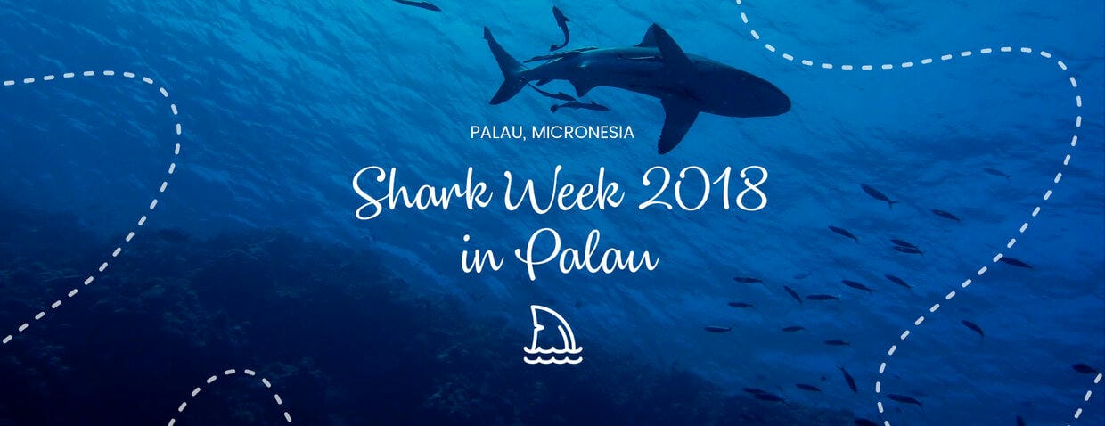 Shark Week 2018 In Palau