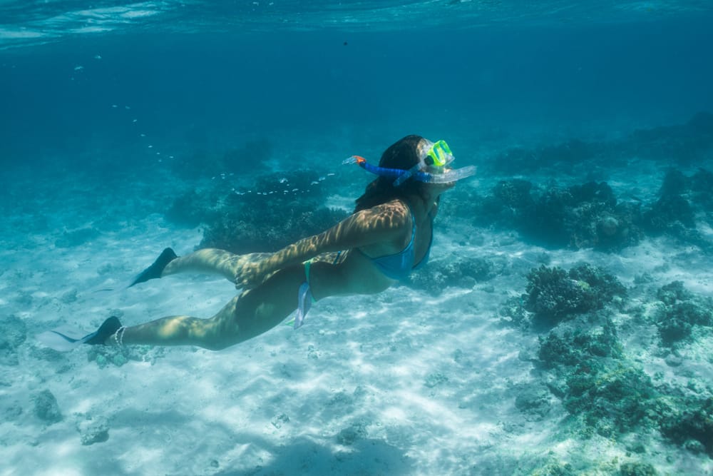 The Best Diving Spots In Fiji