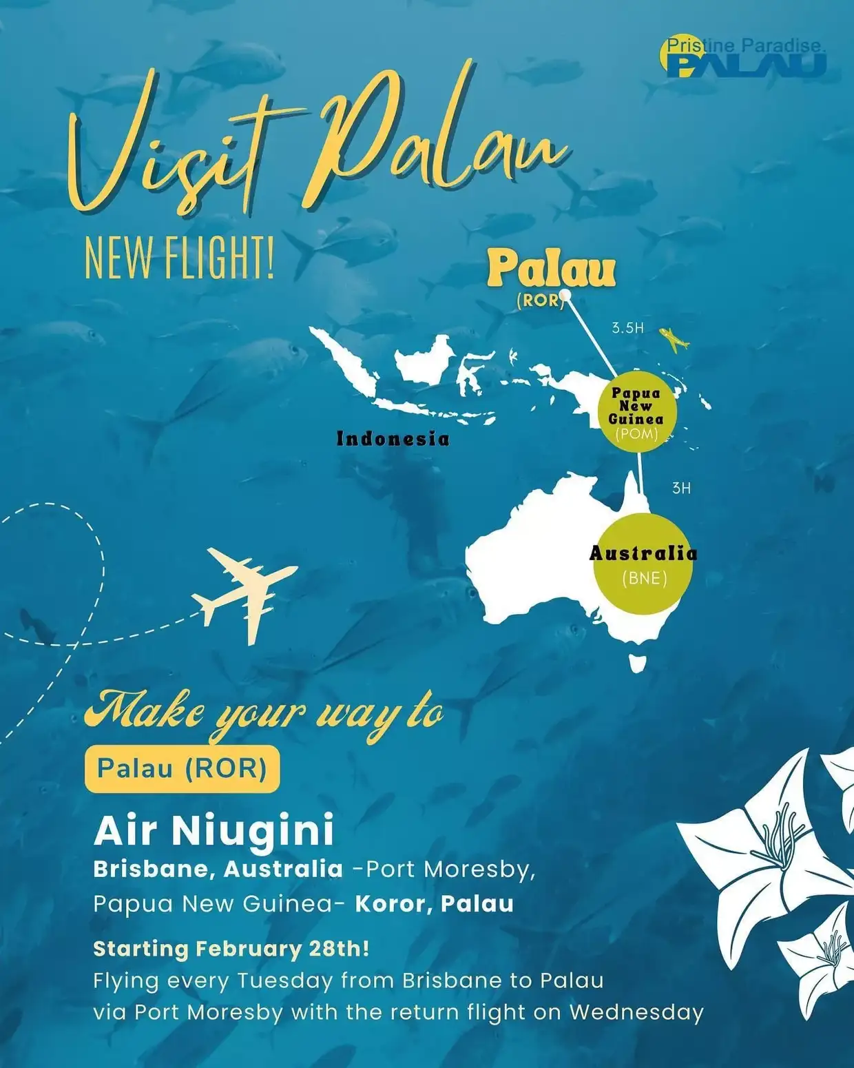 How to get to Palau Paradises