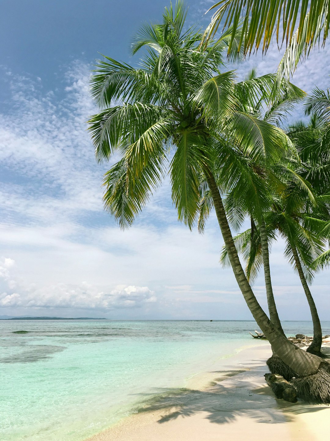 coconut beach